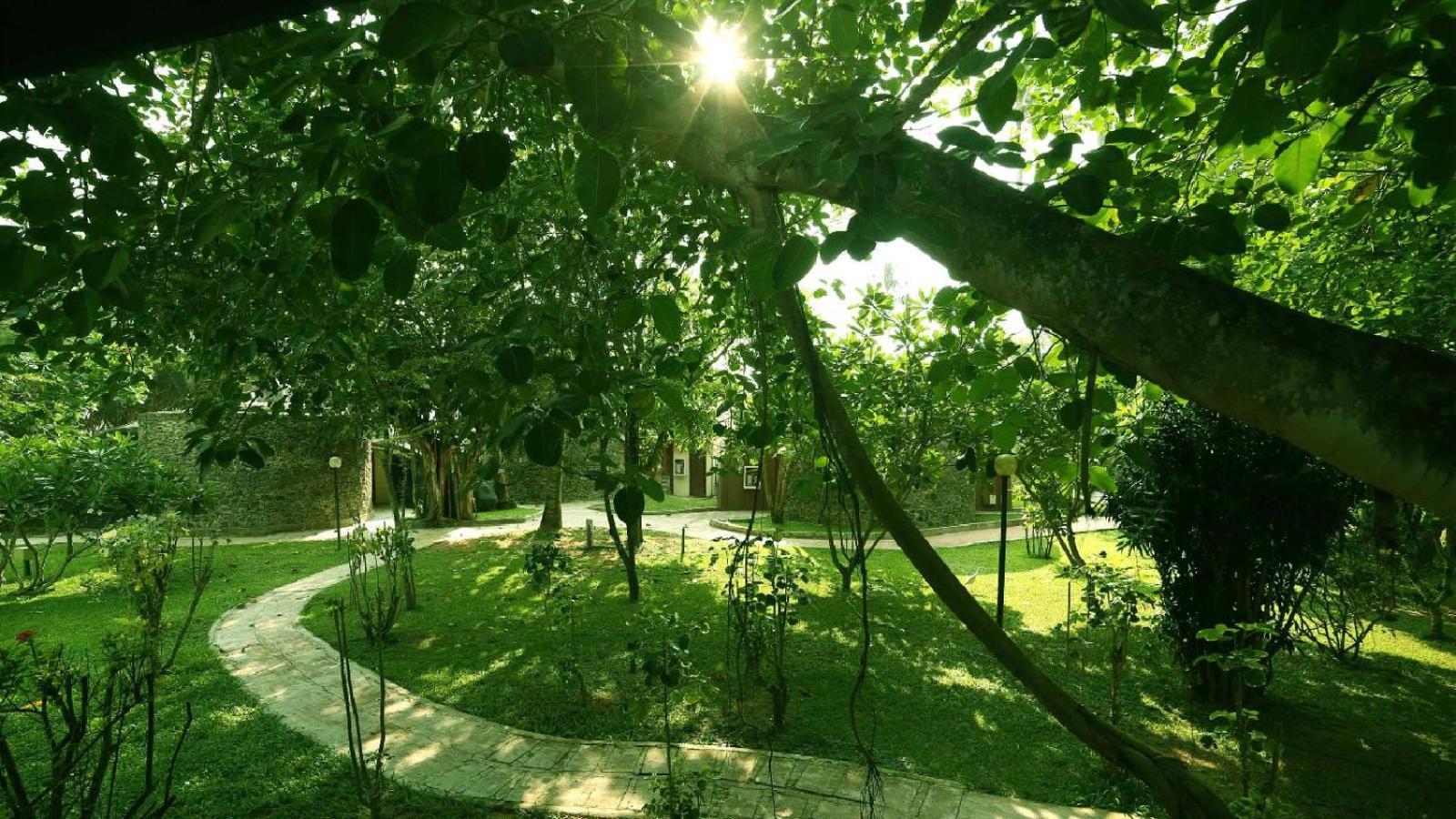 Siddhalepa Ayurveda Resort - All Meals, Ayurveda Treatment And Yoga Wadduwa Ngoại thất bức ảnh