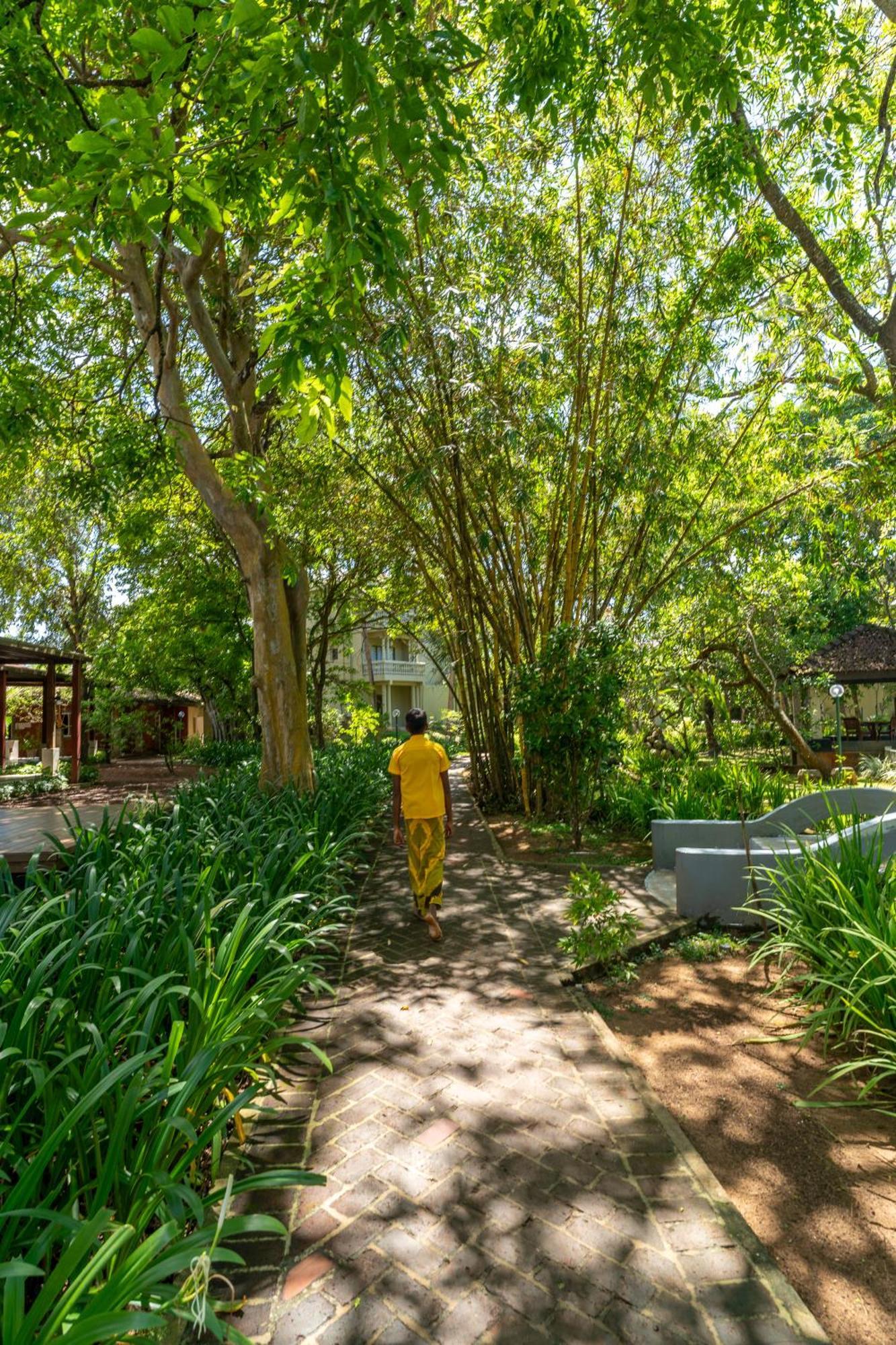 Siddhalepa Ayurveda Resort - All Meals, Ayurveda Treatment And Yoga Wadduwa Ngoại thất bức ảnh
